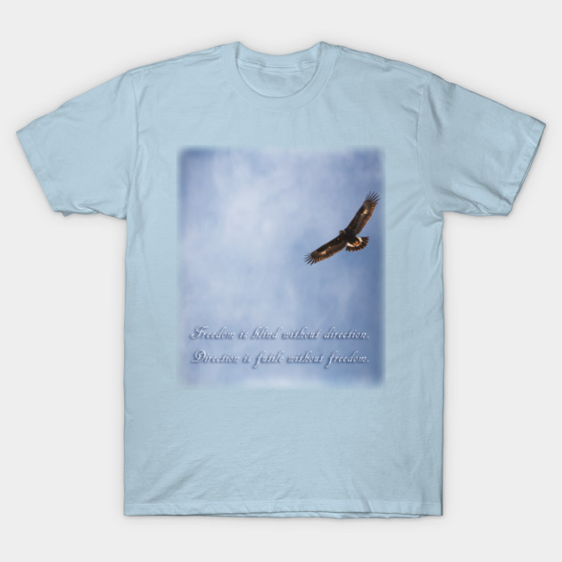 Freedom and Direction Quote